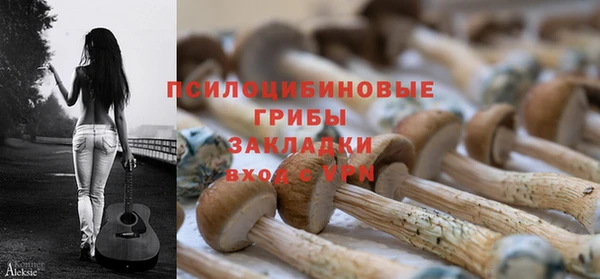 ALPHA PVP Гусиноозёрск