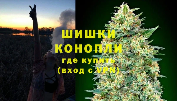 ALPHA PVP Гусев