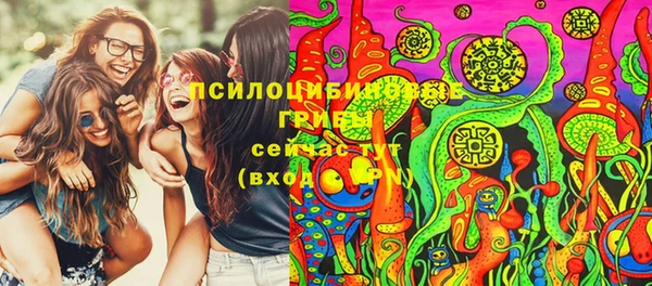 ALPHA PVP Гусиноозёрск