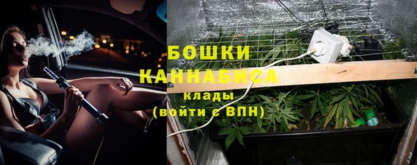 ALPHA PVP Гусиноозёрск