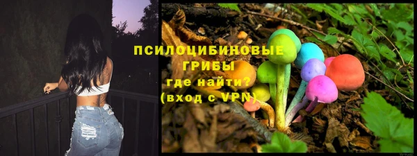 ALPHA PVP Гусев