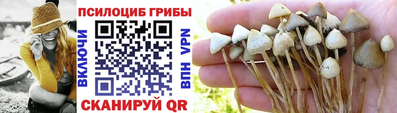 Галлюциногенные грибы прущие грибы  Купить закладки  Южно-Сухокумск 